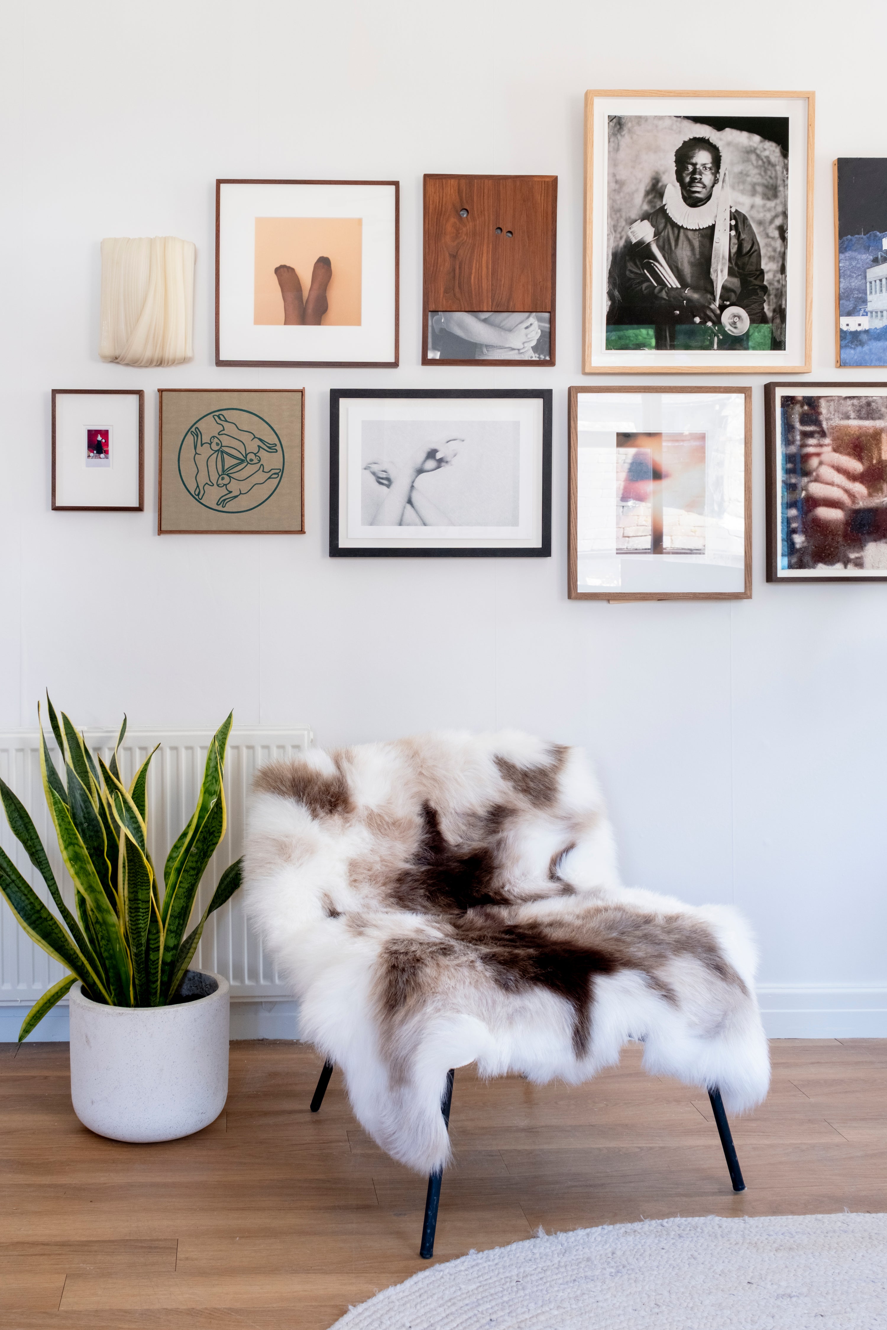 Fur-covered chair in a room with a wall displaying various framed pictures and a plant.